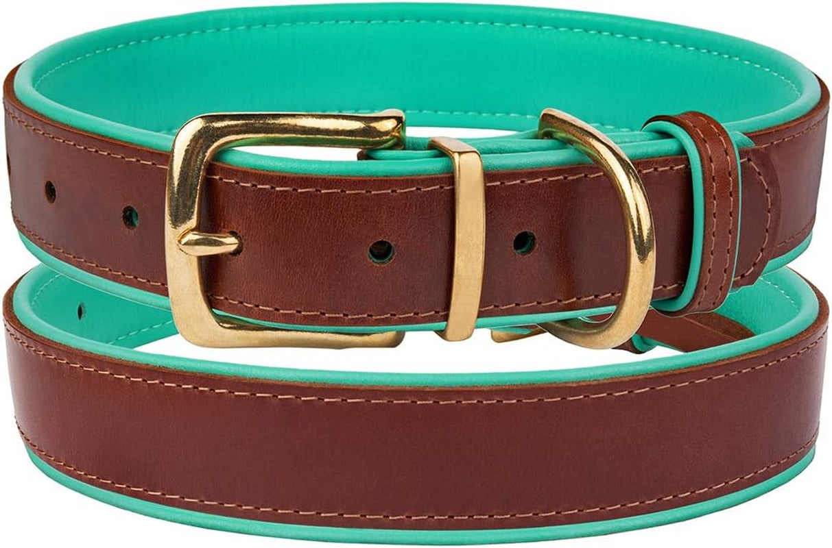 Leather Dog Collar Brass Buckle Soft Padded Puppy Small Medium Large Red Pink Blue Green Purple Yellow (Neck Fit 19"-21", Mint Green)