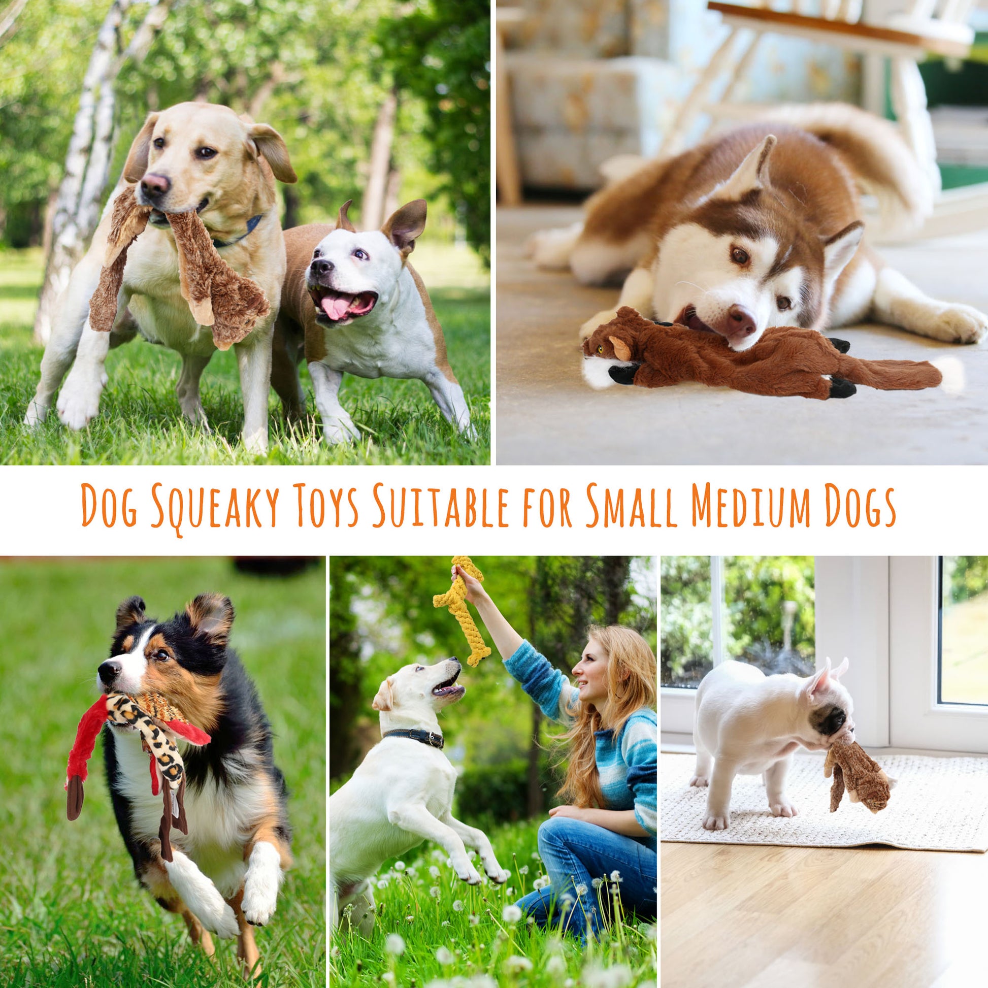 5 Dog Squeaky Toys for Small Dog, No Stuffing