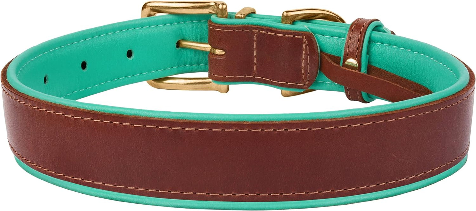 Leather Dog Collar Brass Buckle Soft Padded Puppy Small Medium Large Red Pink Blue Green Purple Yellow (Neck Fit 19"-21", Mint Green)