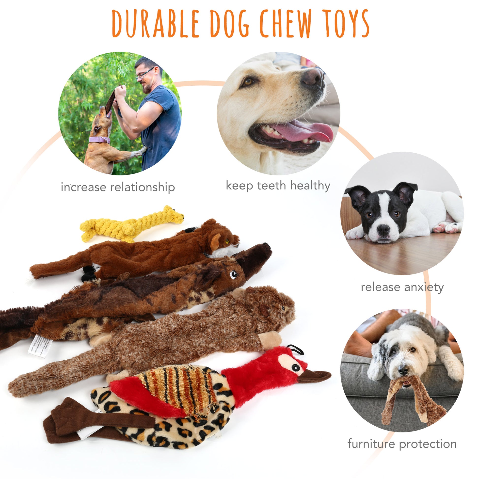 5 Dog Squeaky Toys for Small Dog, No Stuffing