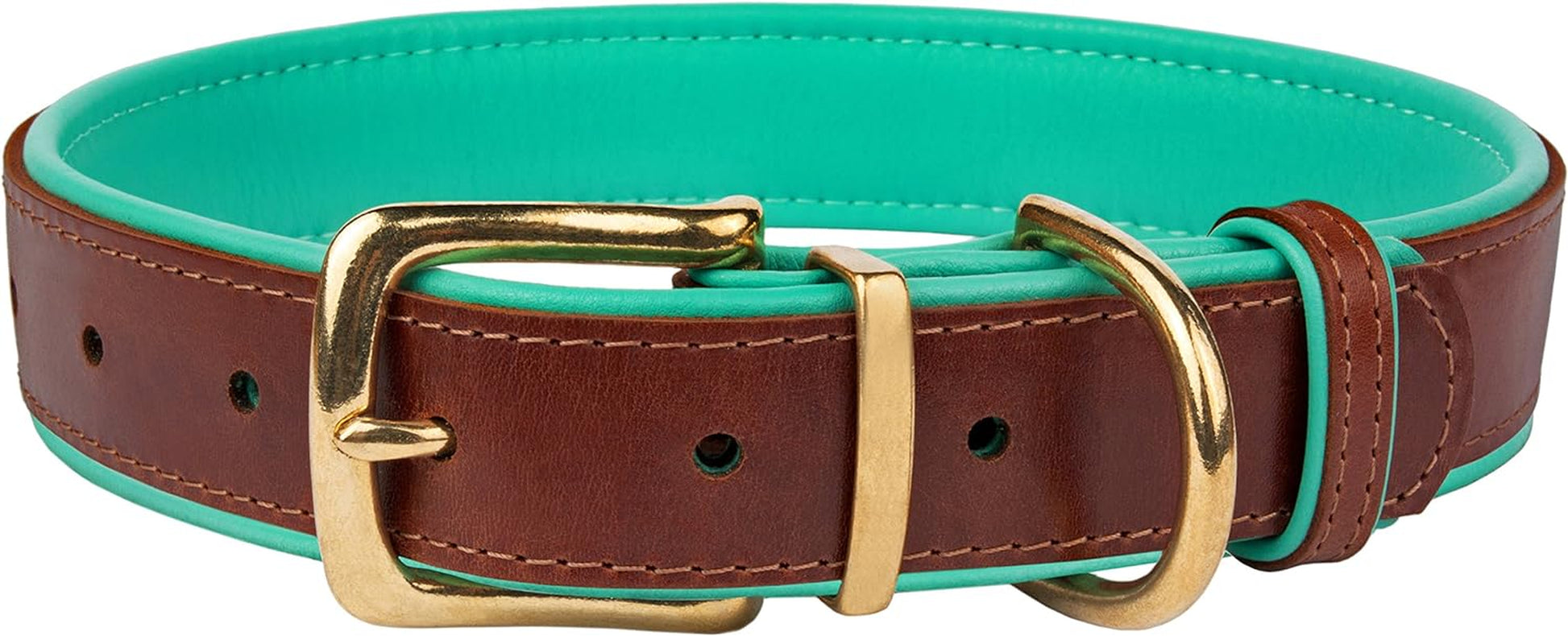 Leather Dog Collar Brass Buckle Soft Padded Puppy Small Medium Large Red Pink Blue Green Purple Yellow (Neck Fit 19"-21", Mint Green)